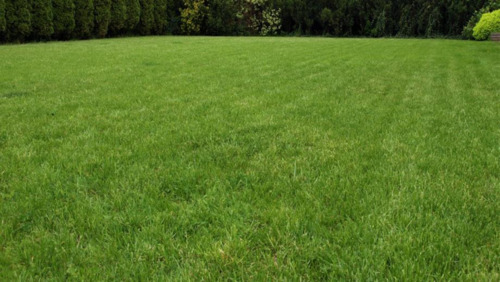 Foto - Stellplatz für Wohnwagen Wohnmobil Anhänger Boot.