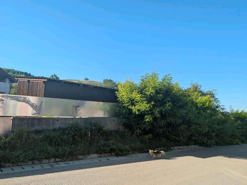 Foto - 9 Zimmer Einfamilienhaus zum Kaufen in Ostrach