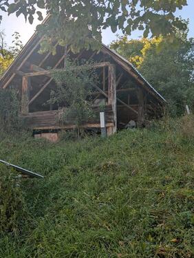 Foto - Einfamilienhaus in Ostrach zum Kaufen