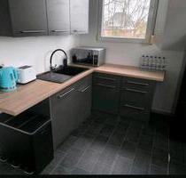 Single Wohnung, Katzenfreundlich, Naturnah - Greven