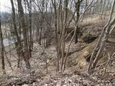 Foto - Großkamsdorf bei Saalfeld in Thüringen , 570 qm Wald