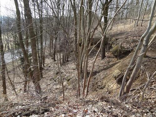 Foto - Großkamsdorf bei Saalfeld in Thüringen , 570 qm Wald