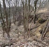 Großkamsdorf bei Saalfeld in Thüringen , 570 qm Wald - Unterwellenborn Goßwitz