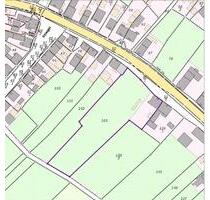 zu vermieten verpachten: tolles, großes 3750qm Grundstück - Georgenthal