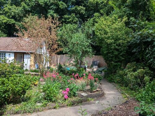 Foto - Kleingarten Vereinigte Steintormarsch (Kolonie Dornröschen)