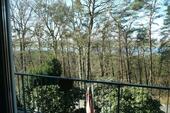 Foto - Wohnen am Waldrand mit Elbblick