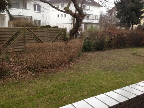 Foto - 2 Zimmer Hochparterre in Dortmund