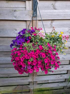 Foto - schrebergarten in 58511 lüdenscheid