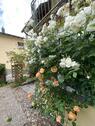 Foto - 3 Zimmer Erdgeschoßwohnung zum Kaufen in Pforzheim