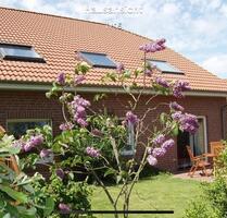 SchleiFleckebyLouisenlund Wohnung zu vermieten
