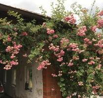 Vermiete überdachten Stellplatz für Auto oder Ähnliches - Hattingen Niederbonsfeld