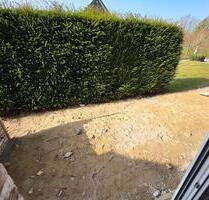 Erstbezug 4 Zimmer EG Wohnung + Terrasse + Stellplatz + Bramsche