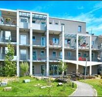 2 Zimmerwohnung im Mehrgenerationenprojekt - Warendorf