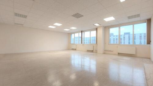 Foto - andere in Dresden