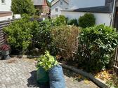 Foto - 3 Zimmer Einfamilienhaus in Feilitzsch