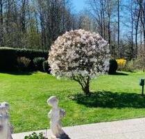 ✅ Wohnung f. hilfsbereite Mitbewohnerin respektvolles Miteinander - Pforzheim Eutingen