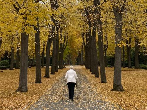 Foto - 2 Zimmer Erdgeschoßwohnung zur Miete in Pforzheim