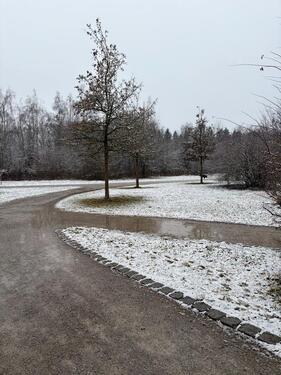 Foto - andere in München zur Miete