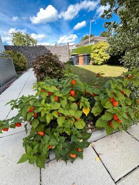 Foto - Großes Haus mit 180 qm Wohnfläche+Wintergarten+Garage+Garten