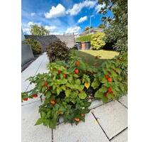 Großes Haus mit 180 qm Wohnfläche+Wintergarten+Garage+Garten - Affalterbach