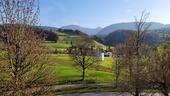 Foto - Privatverkauf EFH in Oberstaufen-Weißach
