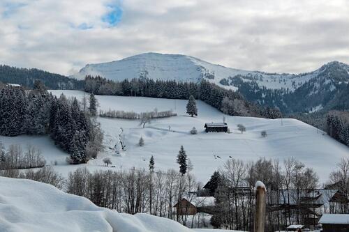 Foto - 8 Zimmer Einfamilienhaus in Oberstaufen