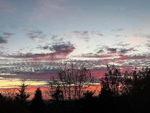 Foto - Gemütliche Wohnung in TOP LAGE von Oerlinghausen 3 ZKBB TG