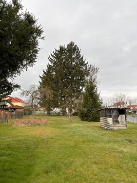 Foto - 4 Zimmer Doppelhaushälfte in Schmölln