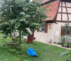Foto - Fachwerkhaus Wohnhaus Haus Immobilie