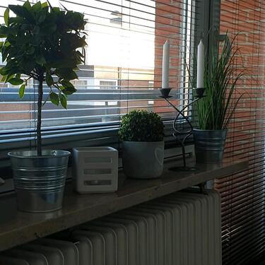 Foto - 1 Zimmer Etagenwohnung in Walsrode
