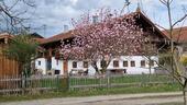 Foto - Bauernhaus unter Denkmalschutz restauriert