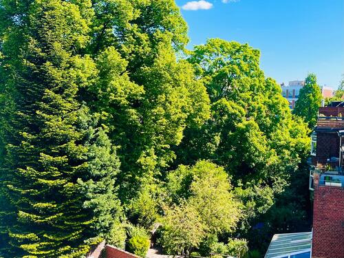 Foto - 4 Zimmer Etagenwohnung in Duisburg