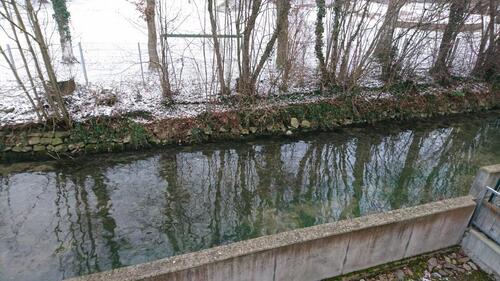 Foto - Erdgeschoßwohnung in Langenau zur Miete