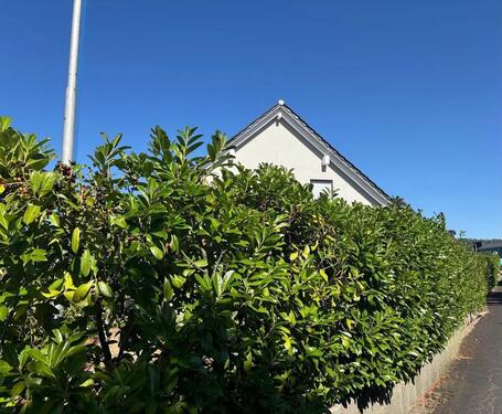 Foto - Einfamilienhaus in Thüngersheim zum Kaufen