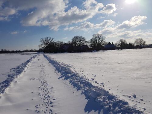 Foto - Ferienwohnung 'Mein Stall' Münsterland Borken