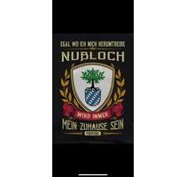 Helle , Schöne Dachgeschosswohnung in Nussloch zu vermieten - Nußloch