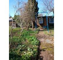 Pachtgarten Burgbreite Süd abzugeben - Wernigerode