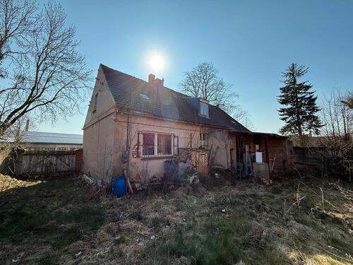 Foto - Einfamilienhaus zum Kaufen in Möckern