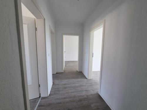 Foto - 3 Zimmer Etagenwohnung in Halle (Saale)