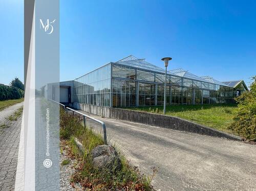 Foto - Lagerfläche nach Bedarf: 5 €m² Überdacht Gesichert Individuelle Preise für Boote, Caravan