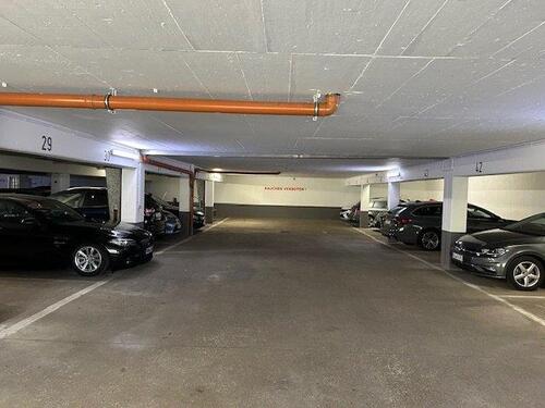 Foto - andere in Göttingen