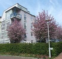 Helle, geräumige 3 Raum Wohnung mit Einbauküche - Zwickau