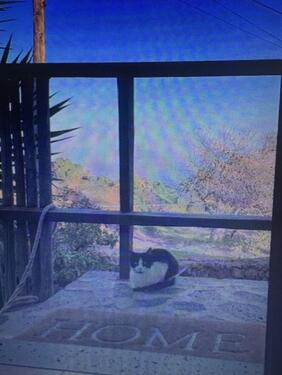 Foto - andere in Mühltal zur Miete