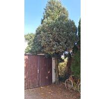 Garage im Innenhof eines 2FHs, abschließbar, Nordweststadt - Karlsruhe Mühlburg