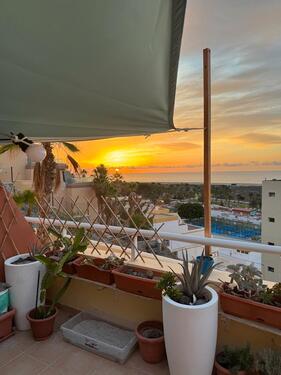 Foto - Apartament in Jandia Fuerteventura Ende November bis ende Februar