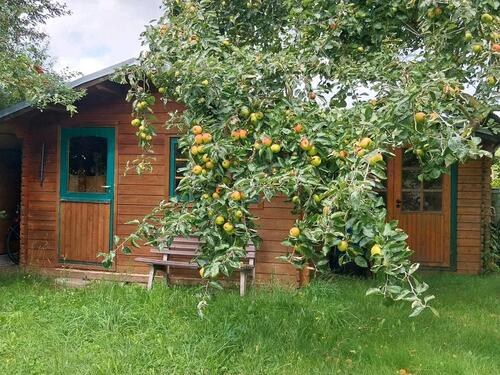 Foto - Kleingarten in KGA Sonnenschein Lambrechtshagen