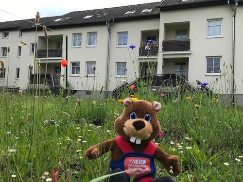 Foto - 2 Zimmer Etagenwohnung in Staßfurt