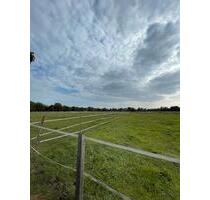 Wohnung Eigentumswohnung Obertshausen