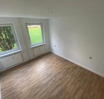 Helle 2-Z.-Whg in ruhiger Lage in 38229 Gebhardshagen - Salzgitter Ortschaft Nord