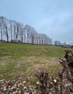 Foto - Grundstück - 75,00 EUR Kaltmiete, ca.  0,00 m²